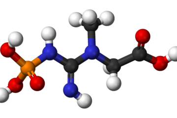 מולקולות קריאטין