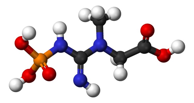 מולקולות קריאטין